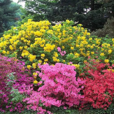 B&B Gaestezimmer Charlotte