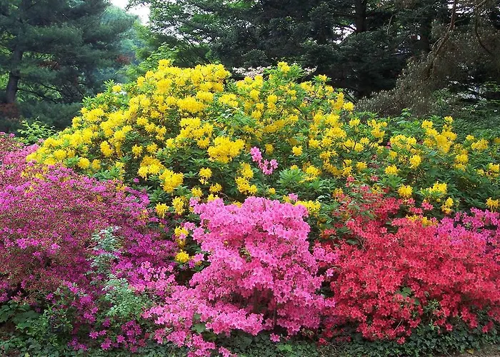 Bed & Breakfast Gaestezimmer Charlotte